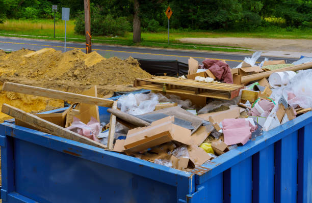 Best Shed Removal  in Buena Vista, CO